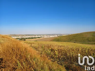 Terrain agricole à écija