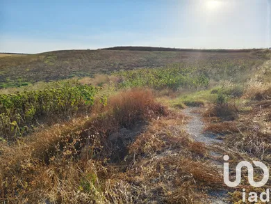 Terreno agricola en écija