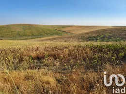 Terreno agricola en écija
