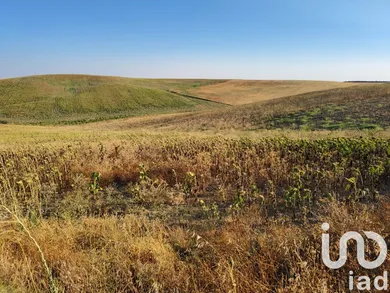 Terreno agricola en écija