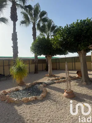 Chalet en ELCHE -ALICANTE