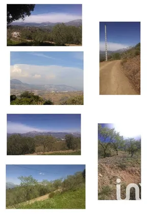 Terreny a Casabermeja