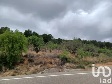 Terrain loisirs à La Bisbal del Penedès