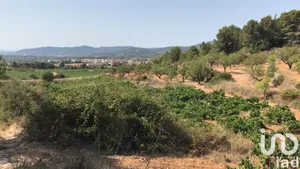 Terreny a La Bisbal del Penedès