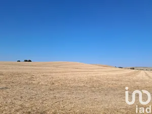 Terreny a Arcos de la Frontera