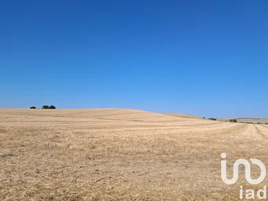 Terreny a Arcos de la Frontera