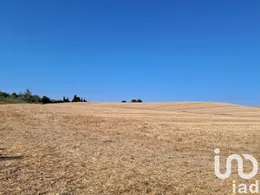 Terreno en Arcos de la Frontera