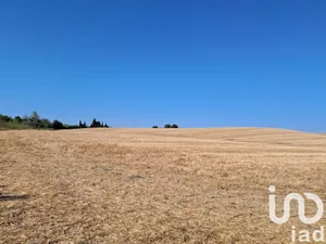 Terreno en Arcos de la Frontera