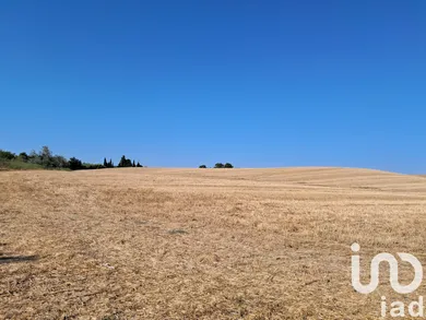 Terreno en Arcos de la Frontera
