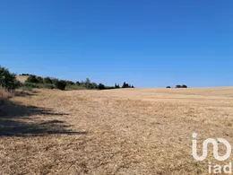 Terreno en Arcos de la Frontera