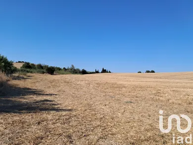 Terreno en Arcos de la Frontera