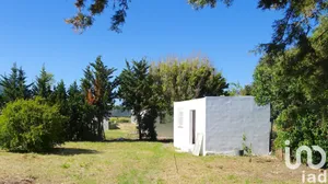 Terreno rústico en Tarifa