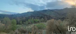 Terreny rústic a Xerta