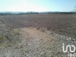 Terreny rústic a Novelda
