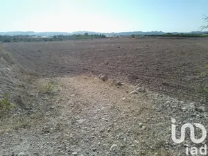 Terreno rústico en Novelda