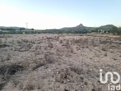 Land in Salinas