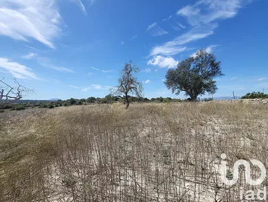 Terreny agrícola a Llubí