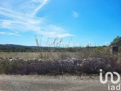 Terreny agrícola a Llubí
