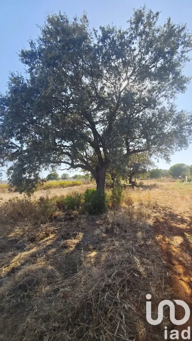 Terreno en Villablanca