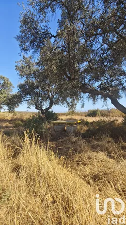 Terrain à Villablanca