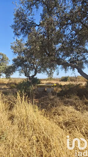 Terreny a Villablanca