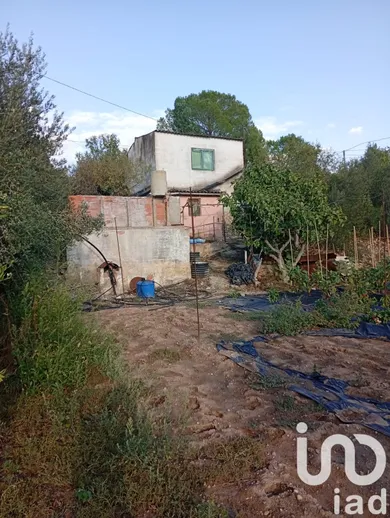 Terreny agrícola a MORA LA NOVA