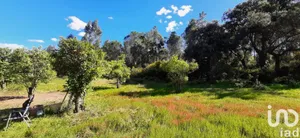 Terreny a Villablanca