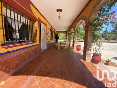 Terreny rústic a Lora del Rio