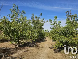 Terreno agricola en Gandesa