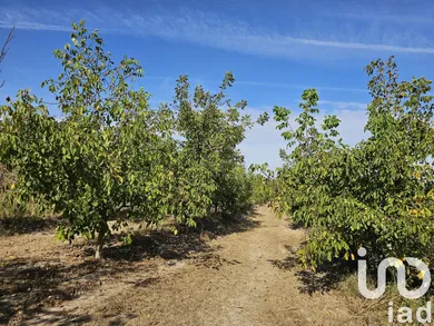 Farm land in Gandesa