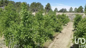 Terreny agrícola a Gandesa