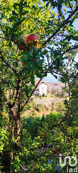 Terreny edificable a Rincón de la Victoria