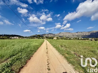 Terreny a Beniarbeig