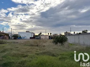 Terreny edificable a Deltebre