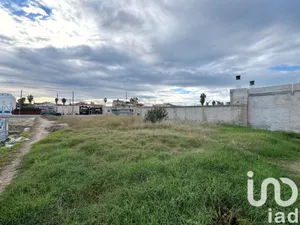 Building plot in Deltebre