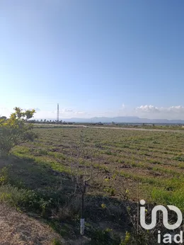 Terreno rústico en Elche