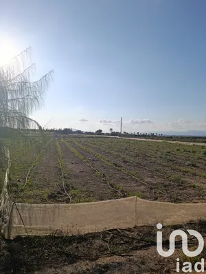 Terreno rústico en Elche