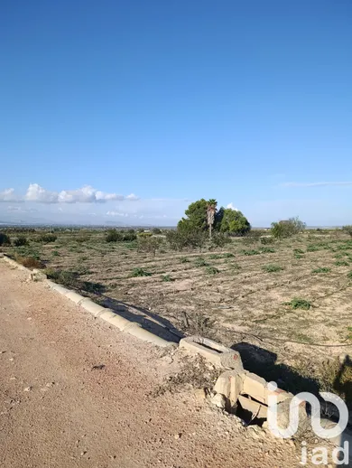 Terrain loisirs à Elche