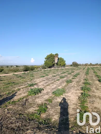 Terrain loisirs à Elche