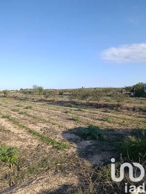 Leisure land in Elche