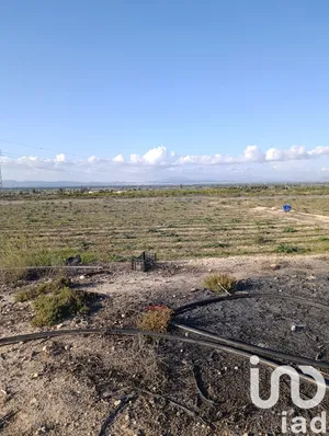 Terreno rústico en Elche