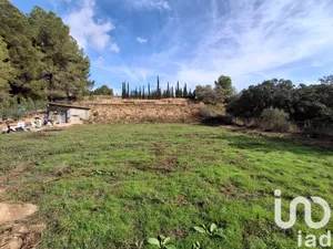 Terreno agricola en Ginestar