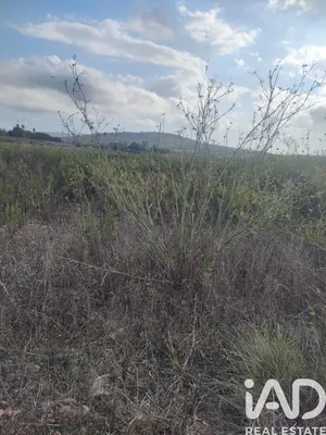 Terreno en illes baleares, mallorca