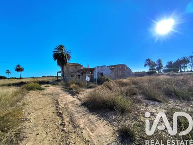 Terrain à Elche