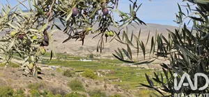 Terreno rústico en ILLAR