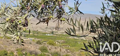Terreno rústico en ILLAR