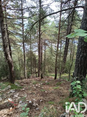 Terreno edificable en La Coma i la Pedra