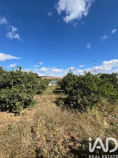 Terreny rústic a Cártama