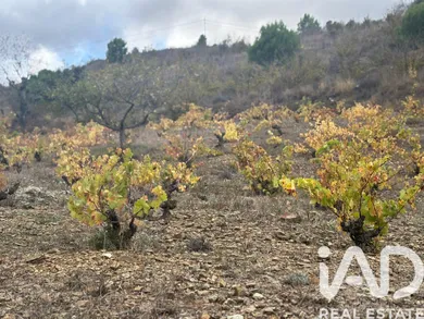 Terrain loisirs à Porrera