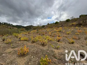 Terreny rústic a Porrera